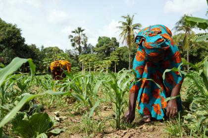 Experts from 51 countries complete new course on agrotech, trade and gender
