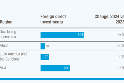 Foreign investment in developing economies fell 2% in 2024, marking second year of decline